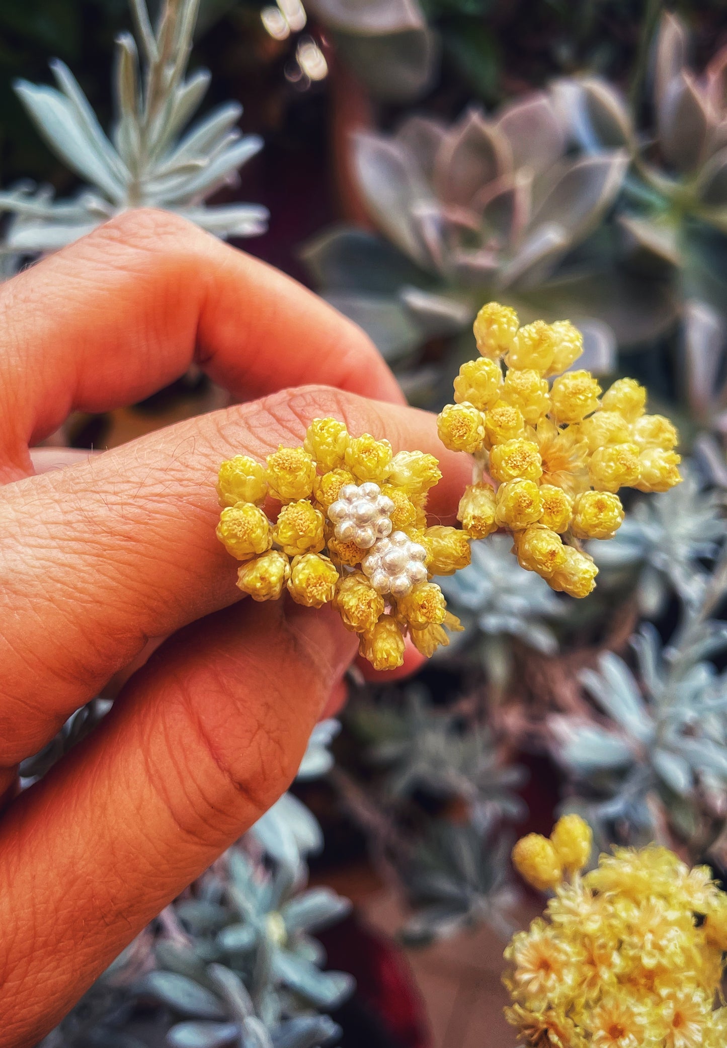 Margarita silver studs