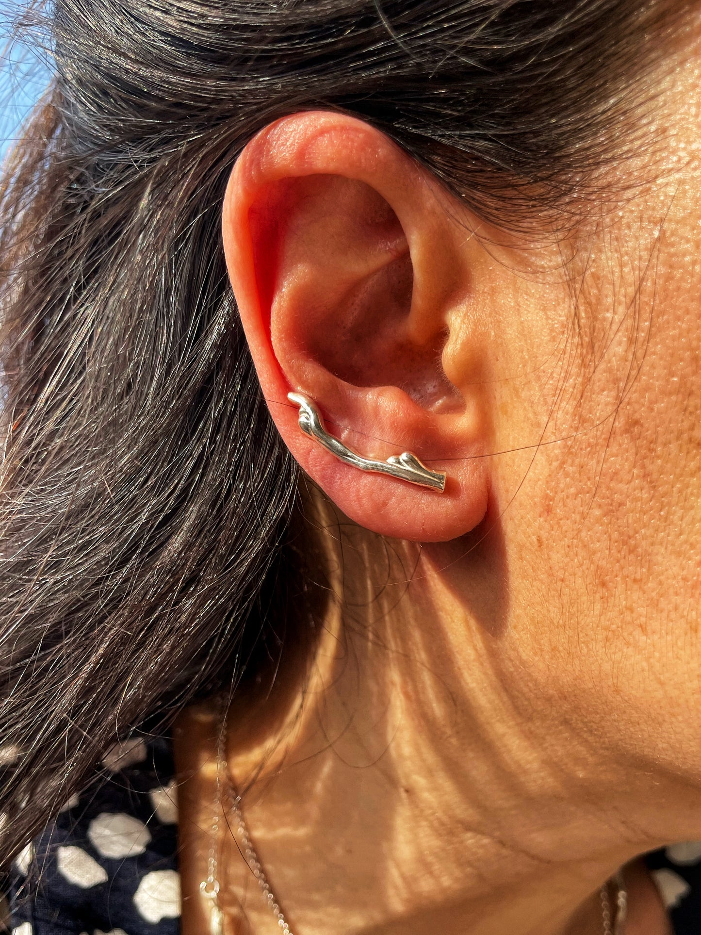 Silver ear climbers