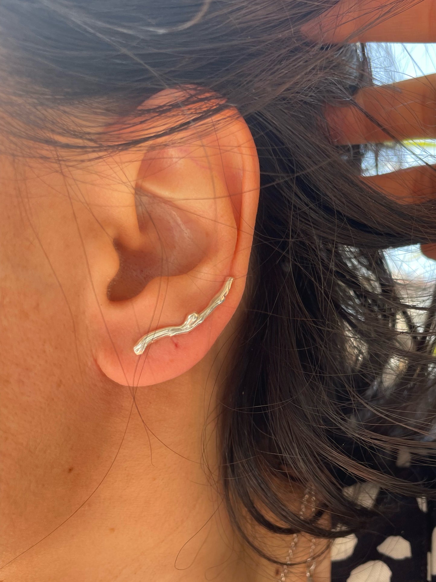 Silver ear climbers