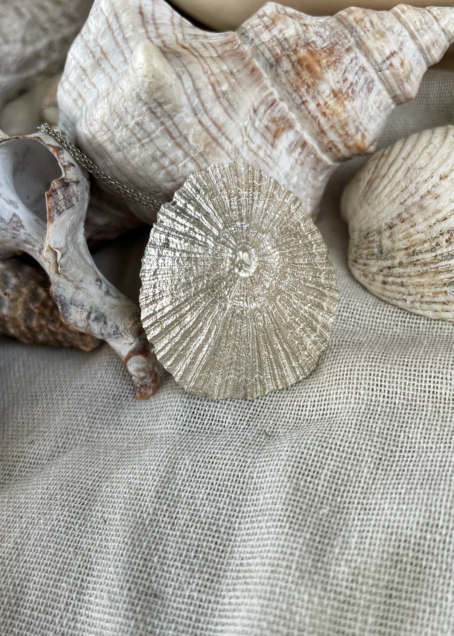 Limpet silver pendant