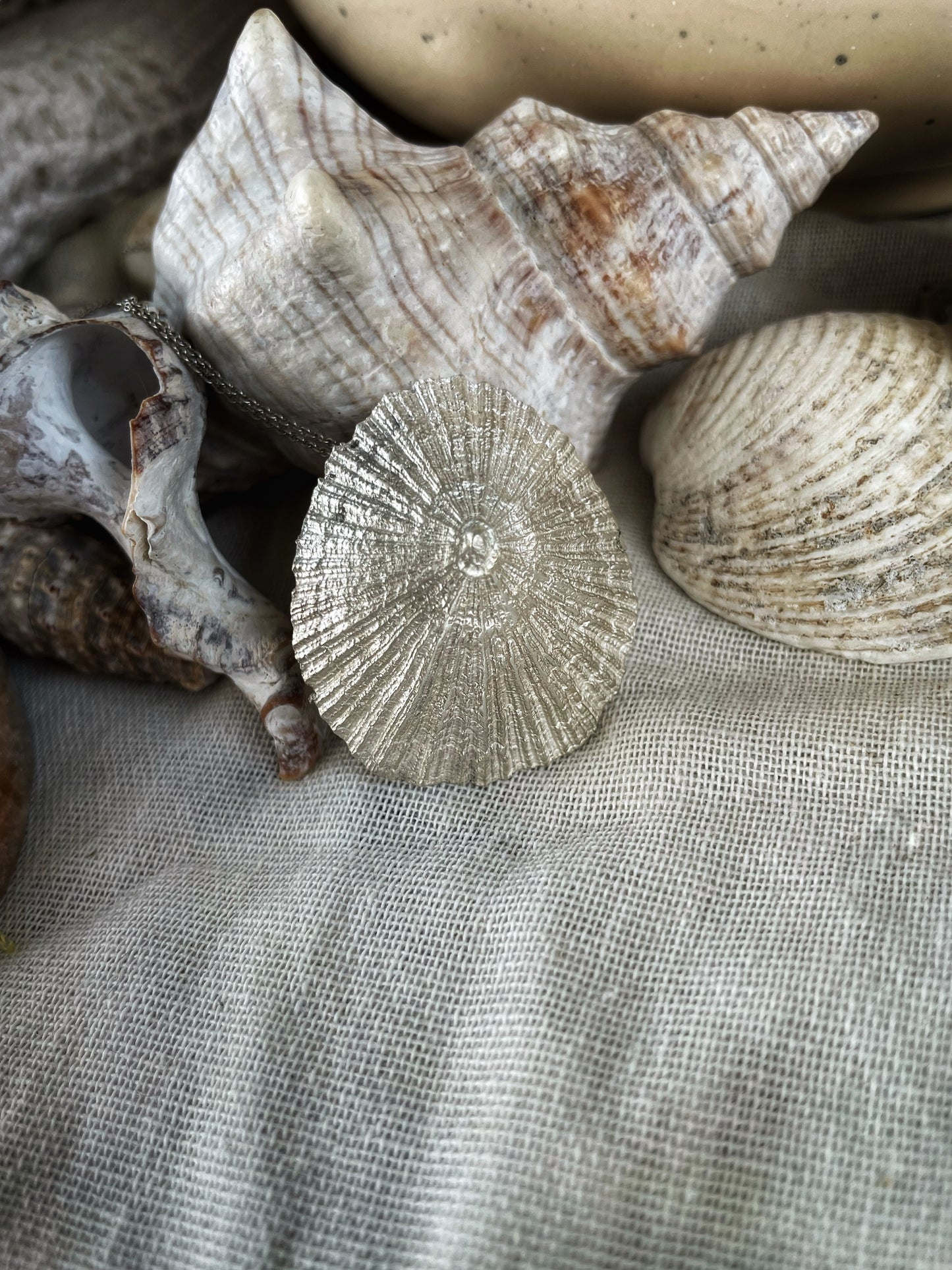Limpet silver pendant
