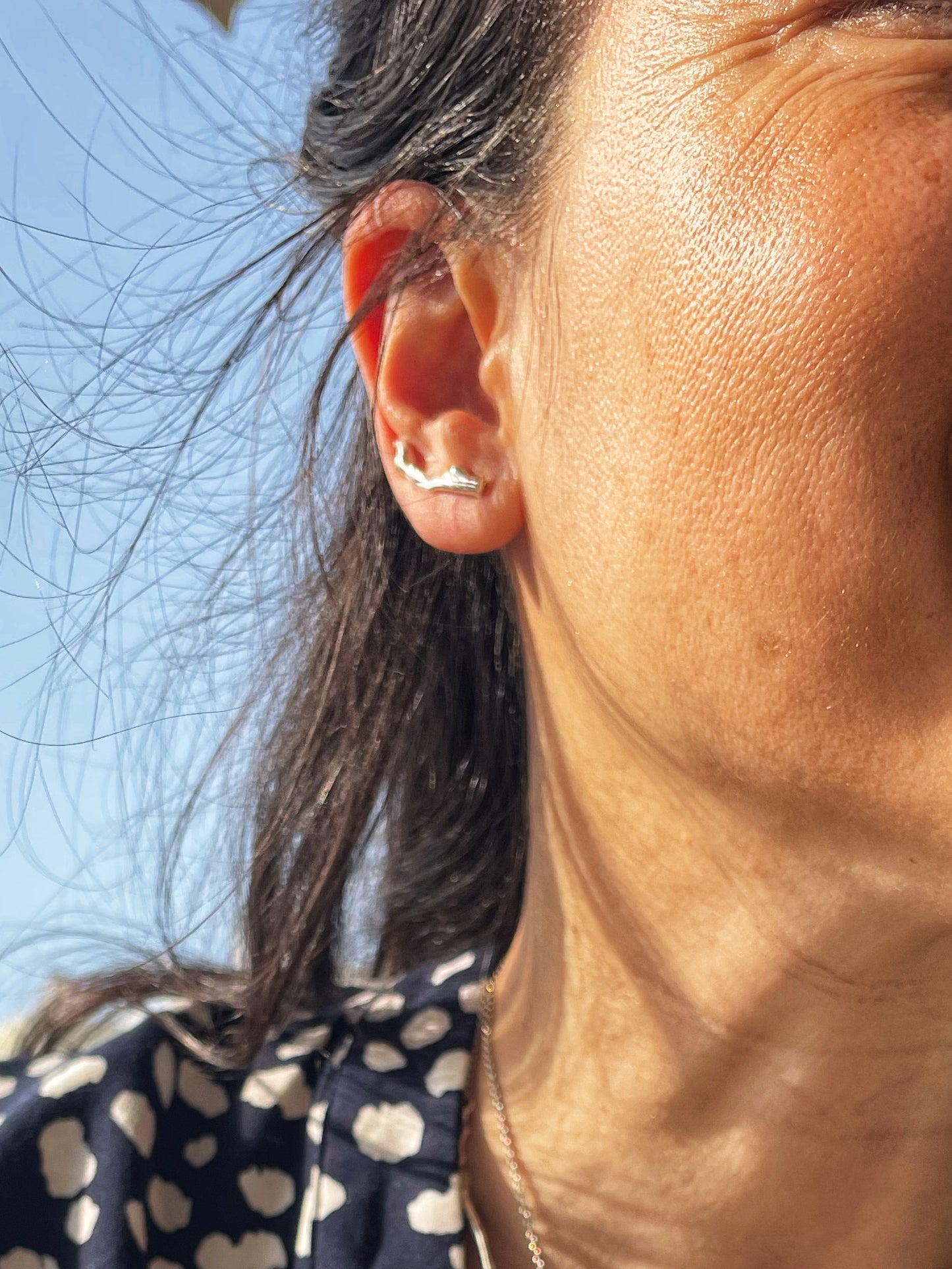 Silver ear climbers