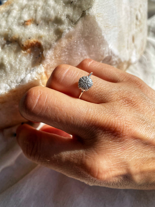 Urchin ring