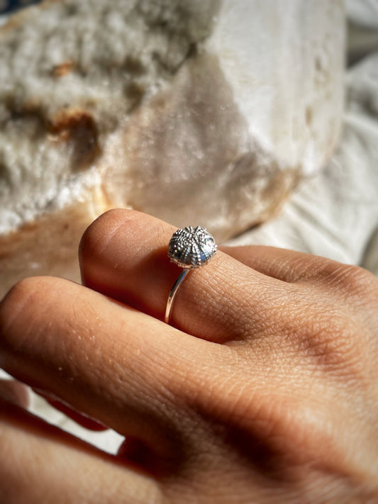 Urchin ring