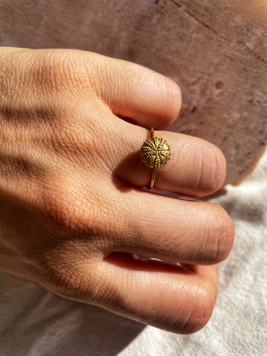Sea Urchin ring
